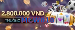MCW818