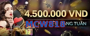 MCW818