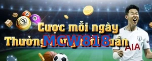 MCW818